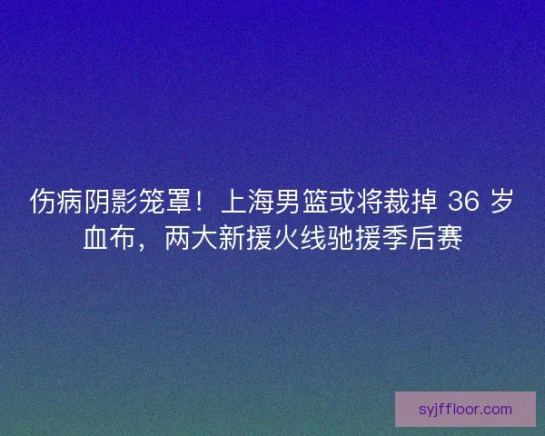 伤病阴影笼罩！上海男篮或将裁掉 36 岁血布，两大新援火线驰援季后赛