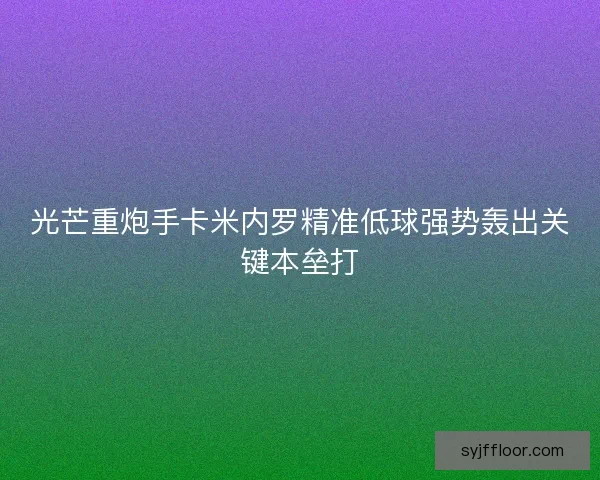 光芒重炮手卡米内罗精准低球强势轰出关键本垒打